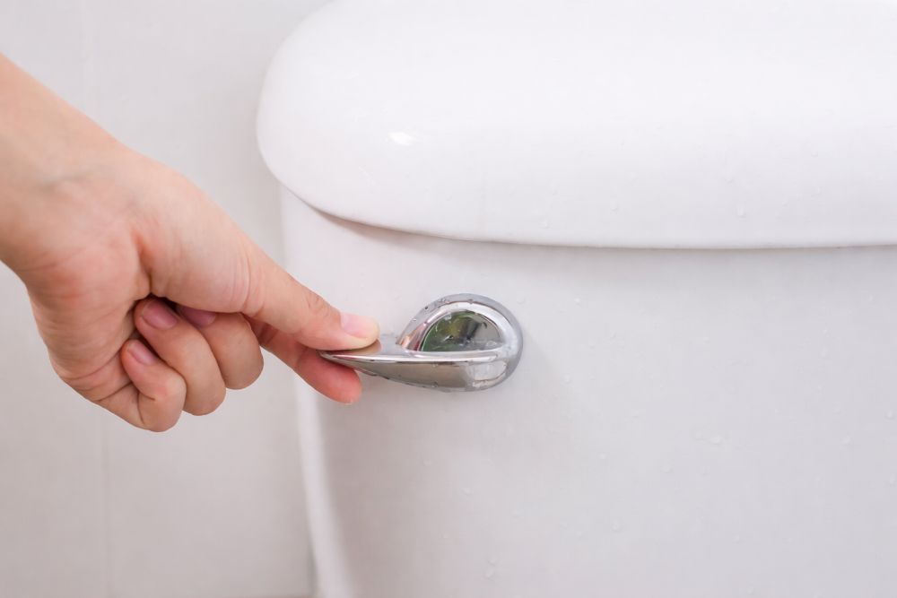 Ruka pritiska dugme na klasičnom vodokotliću tokom ispiranja toaleta