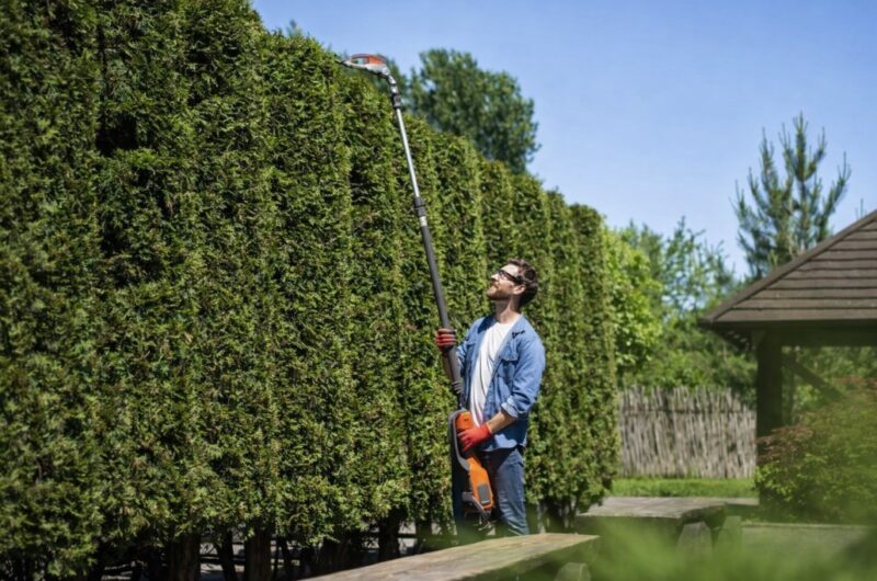 Muškarac koristi teleskopski električni trimer za orezivanje visoke zelene živice u dvorištu